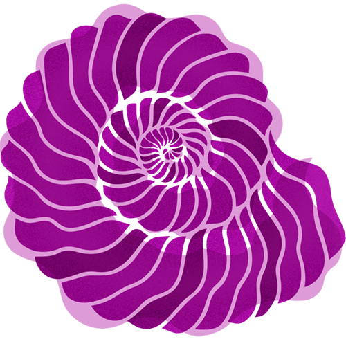 Graphic of a shell